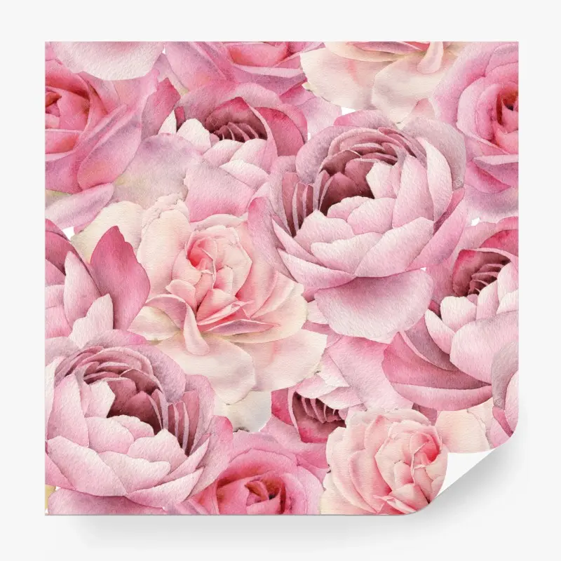 Fototapete zarte rosa rosen in aquarell
