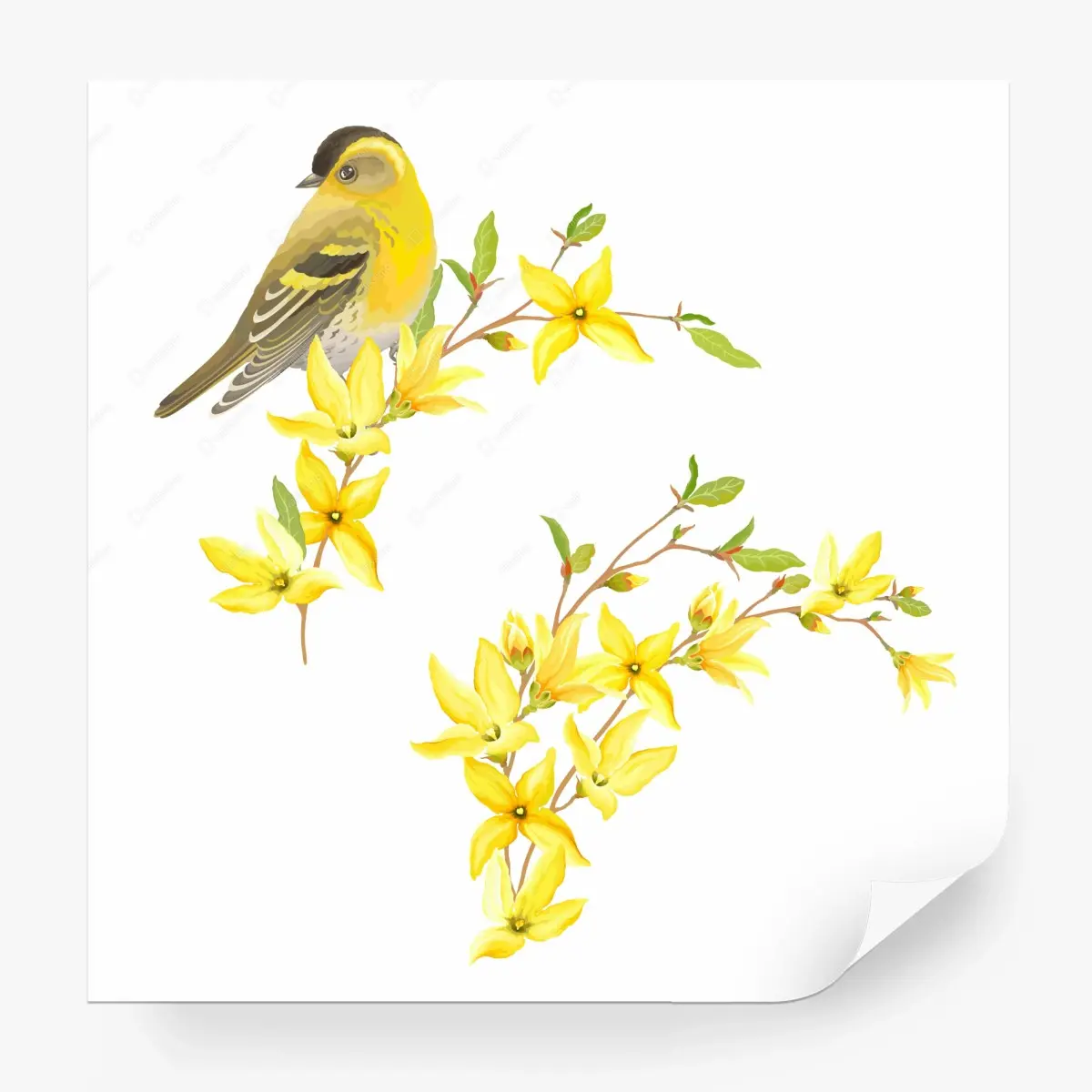 Fototapete gelber vogel und blumen aquarell – Pixers®