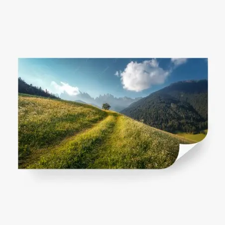 Fototapete idyllische alpenwiese in den Dolomiten – Pixers®