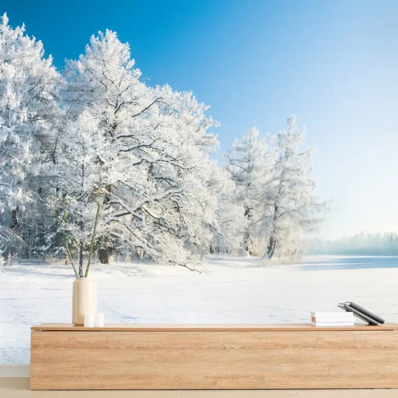 Fototapete ruhige winterlandschaft mit frostbedeckten bäumen