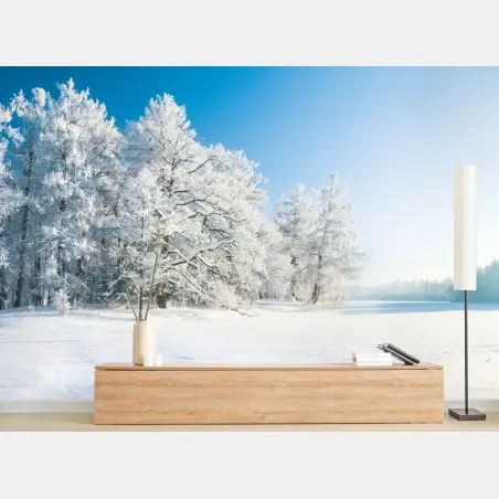 Fototapete ruhige winterlandschaft mit frostbedeckten bäumen – Pixers®