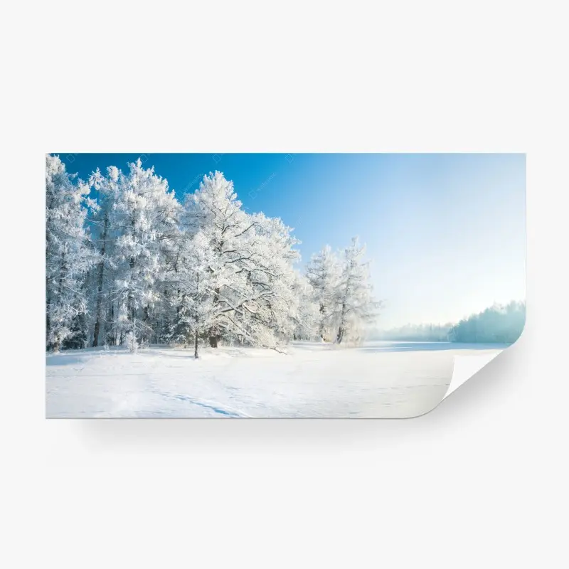 Fototapete ruhige winterlandschaft mit frostbedeckten bäumen