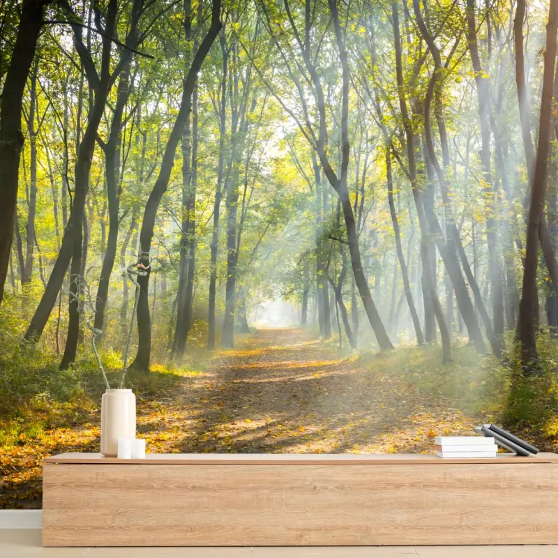 Fototapete nebliger waldweg im goldenen sonnenlicht