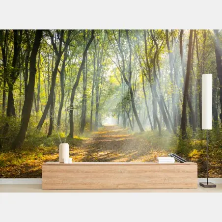 Fototapete nebliger waldweg im goldenen sonnenlicht – Pixers®