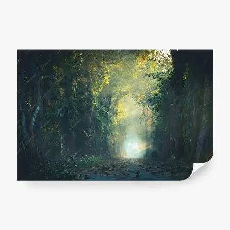 Fototapete verwunschener waldpfad mit sonnenstrahl – Pixers®