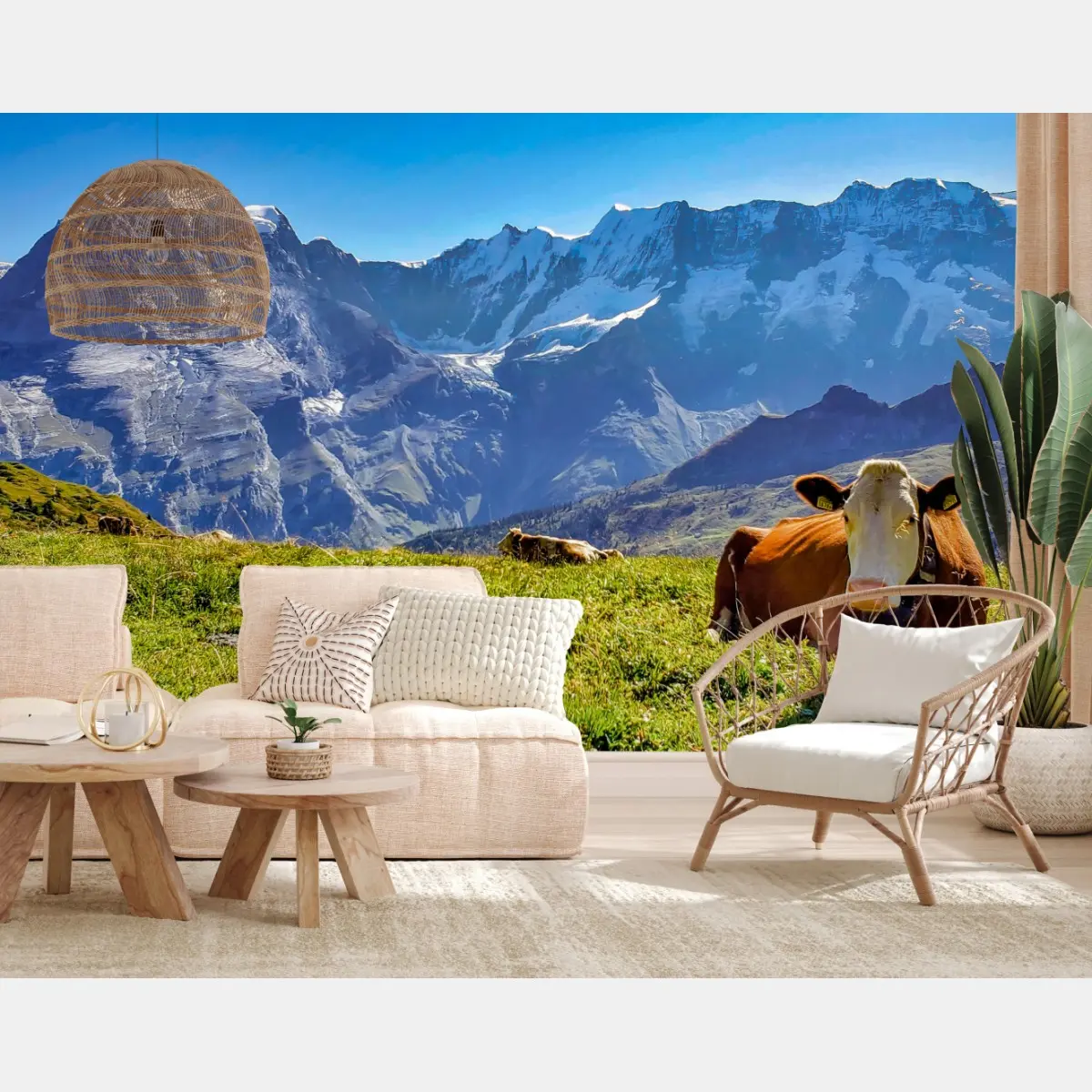 Fototapete alpenwiese mit ruhender kuh – Pixers®