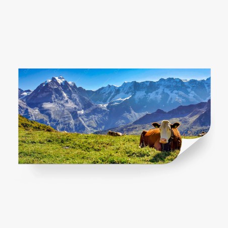 Fototapete alpenwiese mit ruhender kuh – Pixers®