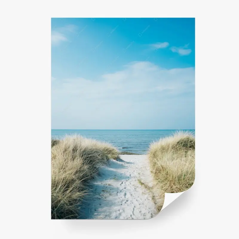 Fototapete pfad durch die dünen zum meer