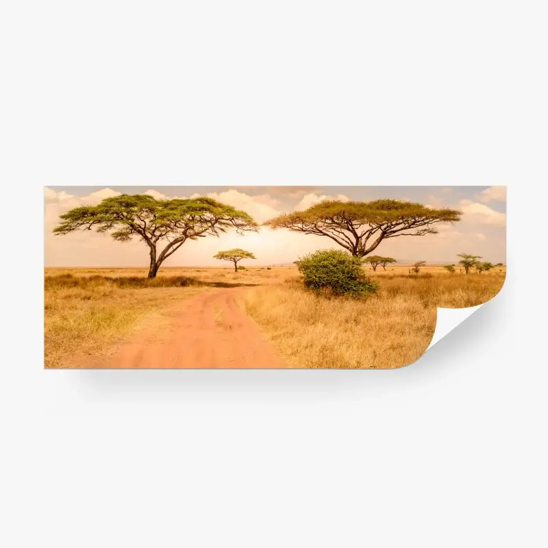 Fototapete Serengeti savannenlandschaft mit akazien