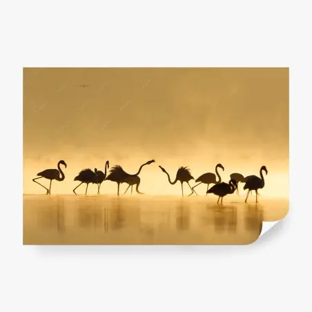 Fototapete goldene flamingo-silhouetten bei sonnenaufgang – Pixers®