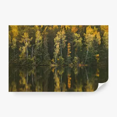 Fototapete herbstwald spiegelung im see – Pixers®