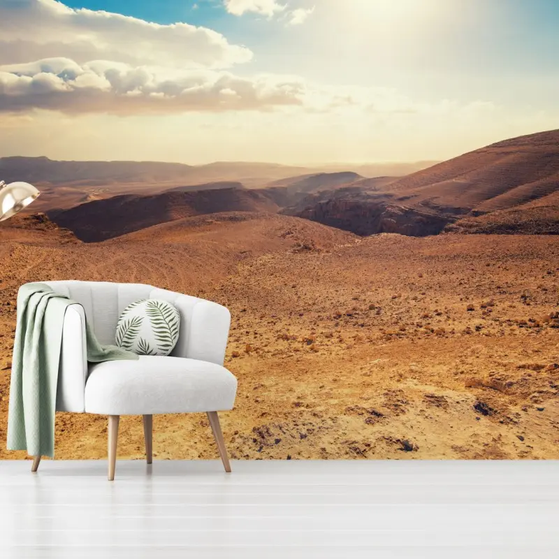 Fototapete sonnenverwöhnte wüstenlandschaft in Israel