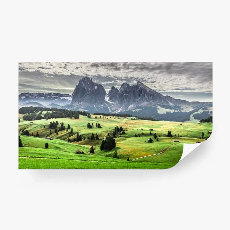Fototapete alpenwiese vor dramatischen gipfeln