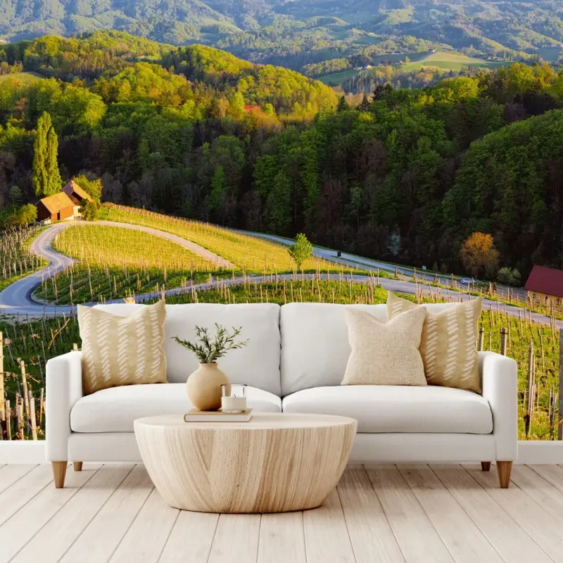 Fototapete sonnenüberflutete weinberge mit geschwungener straße