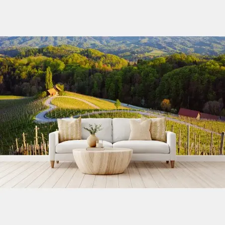 Fototapete sonnenüberflutete weinberge mit geschwungener straße – Pixers®