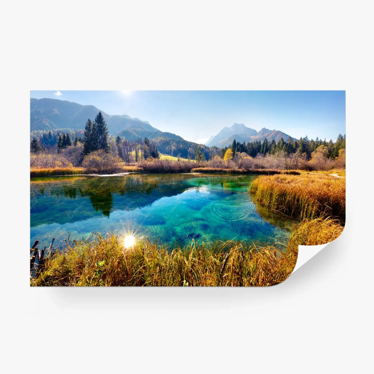 Fototapete Zelenci naturreservat, Julische Alpen herbstliche landschaft – Pixers®