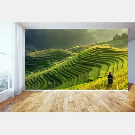 Fototapete Mu Cang Chai reisterrassen – Pixers®
