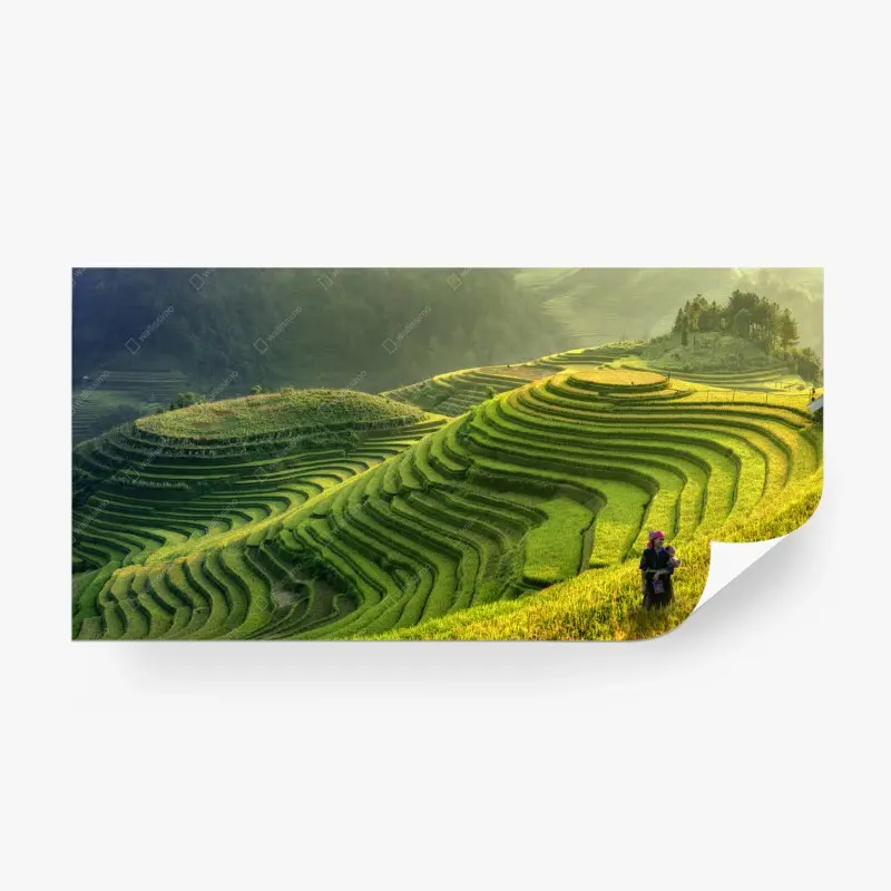 Fototapete Mu Cang Chai reisterrassen