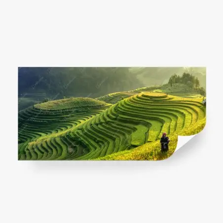 Fototapete Mu Cang Chai reisterrassen – Pixers®