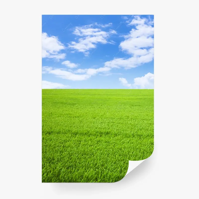 Fototapete endlose grüne wiese unter blauem himmel