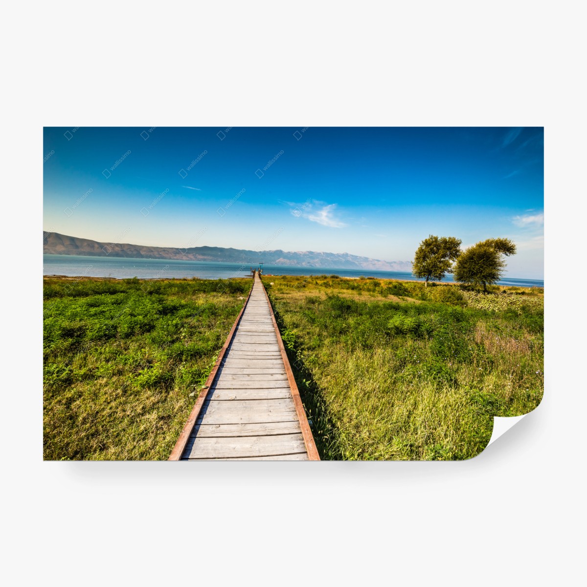 Fototapete Skadarsee hölzerner steg – Pixers®