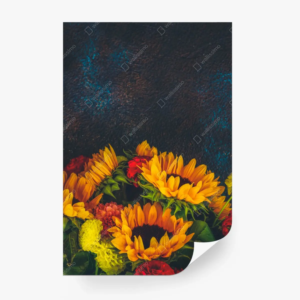 Fototapete lebendiger sonnenblumenstrauß vor dunklem hintergrund – Pixers®