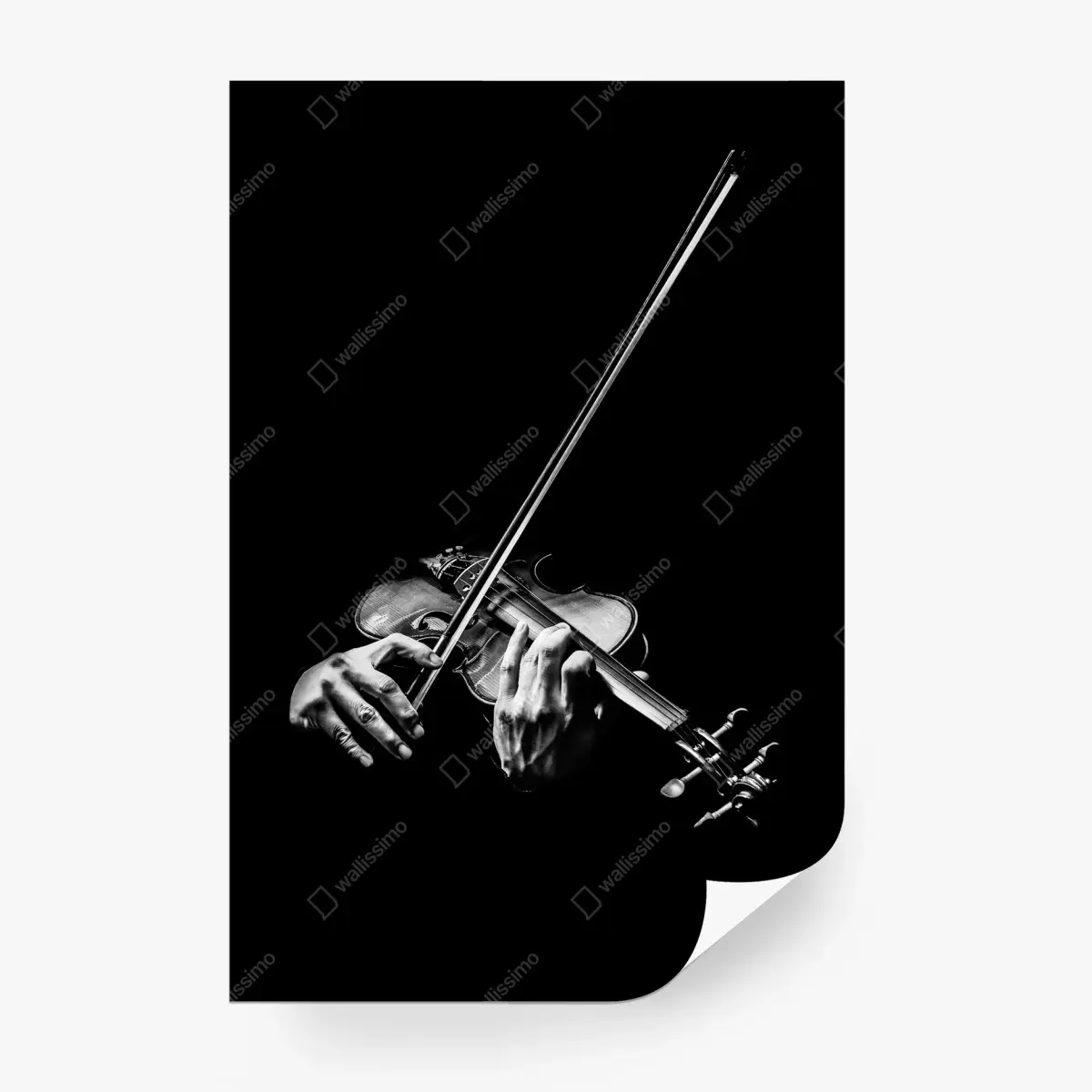 Fototapete monochrome hände eines geigers – Pixers®