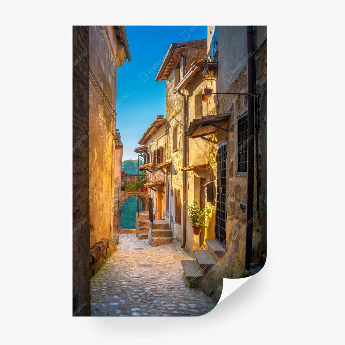 Fototapete sonnenbeschienene gasse in der Toskana – Pixers®