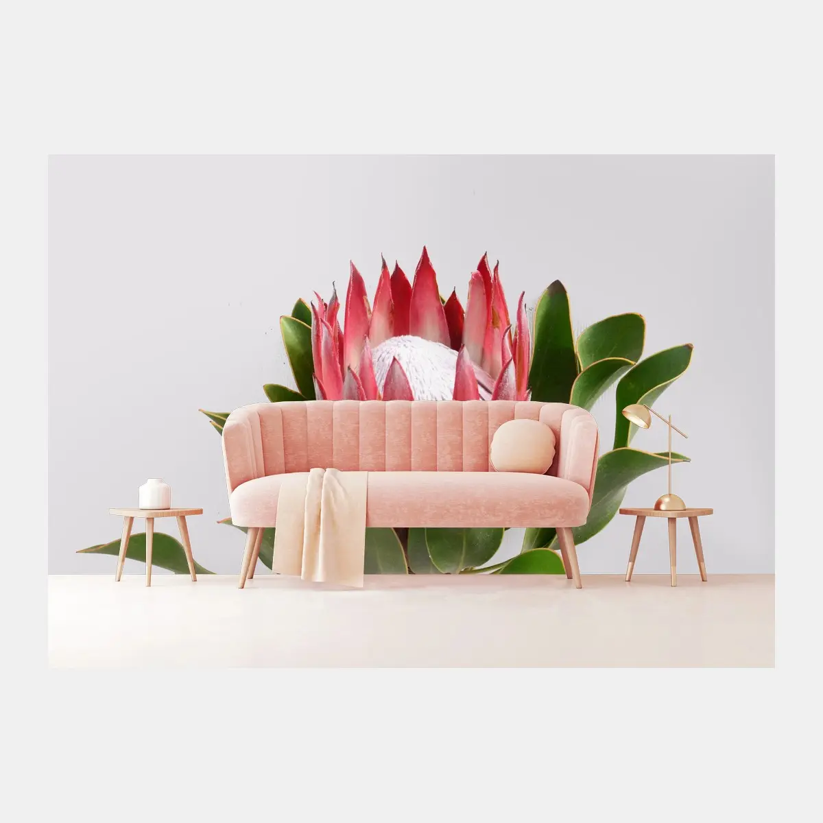 Fototapete rosa protea auf neutralem hintergrund – Pixers®