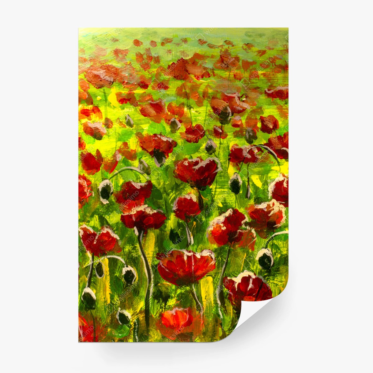 Fototapete feld roter mohnblumen – Pixers®