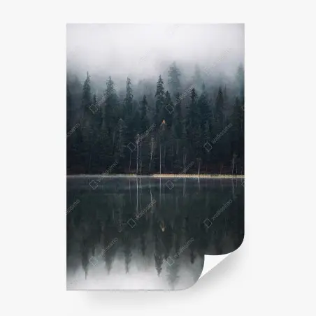 Fototapete neblige waldreflexion – Pixers®