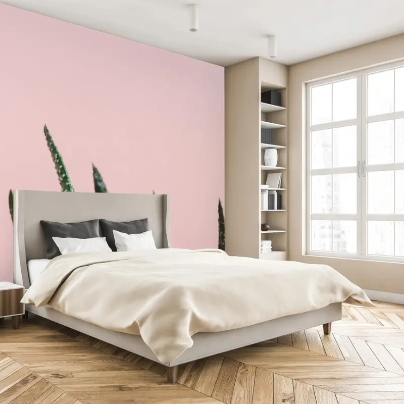 Fototapete grüner aloes auf rosa hintergrund