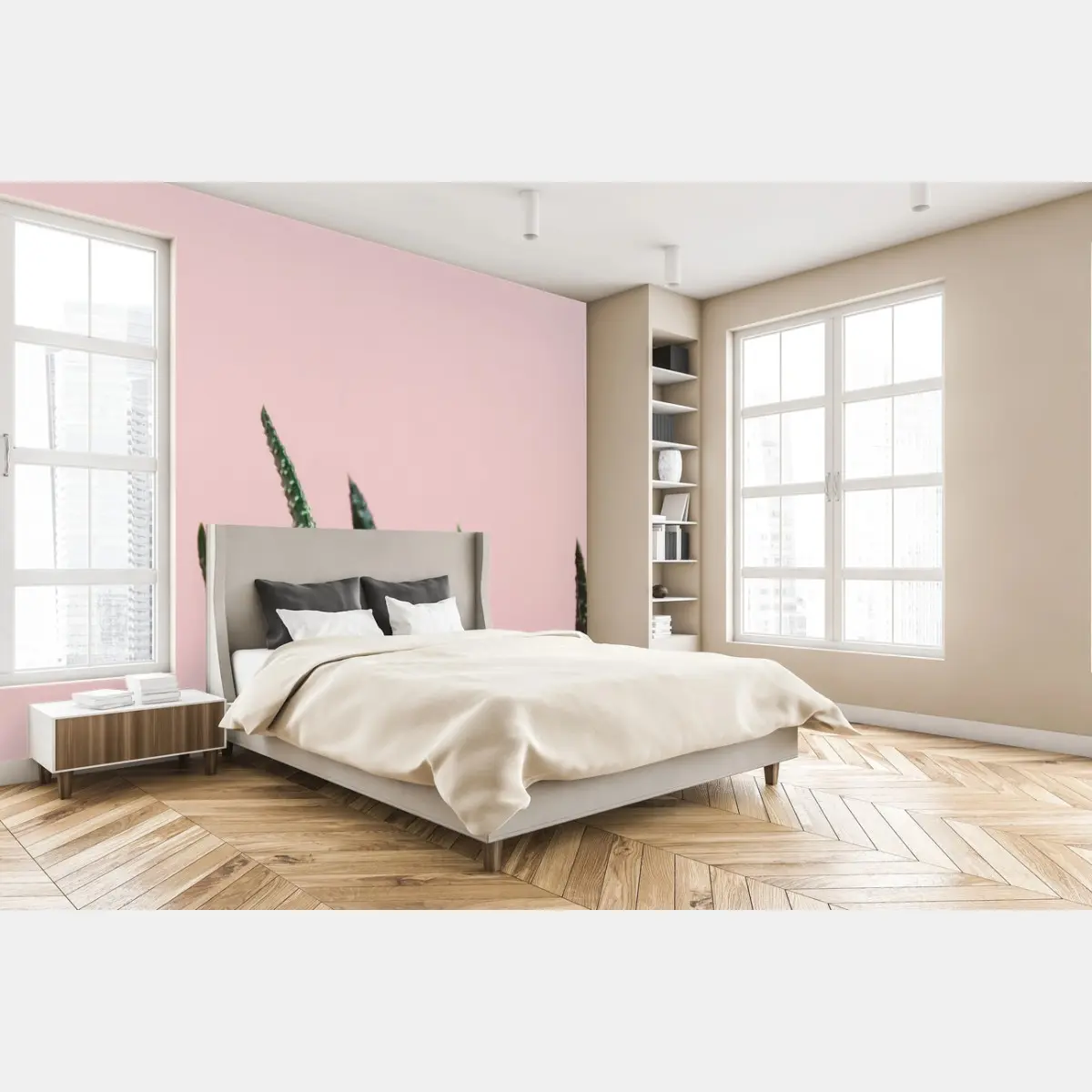 Fototapete grüner aloes auf rosa hintergrund – Pixers®
