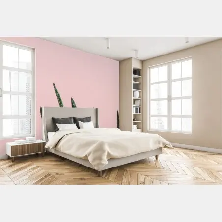 Fototapete grüner aloes auf rosa hintergrund – Pixers®
