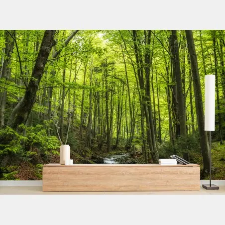 Fototapete ruhiger grüner waldbach – Pixers®