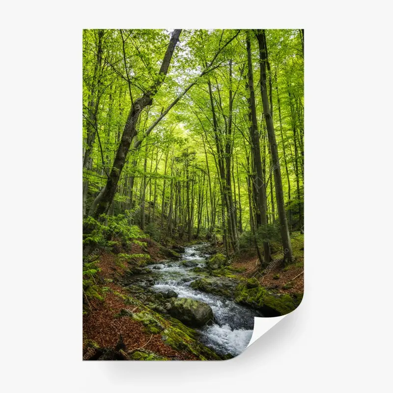Fototapete ruhiger grüner waldbach