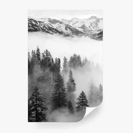 Fototapete nebliger Giant Forest, Sequoia National Park – Pixers®