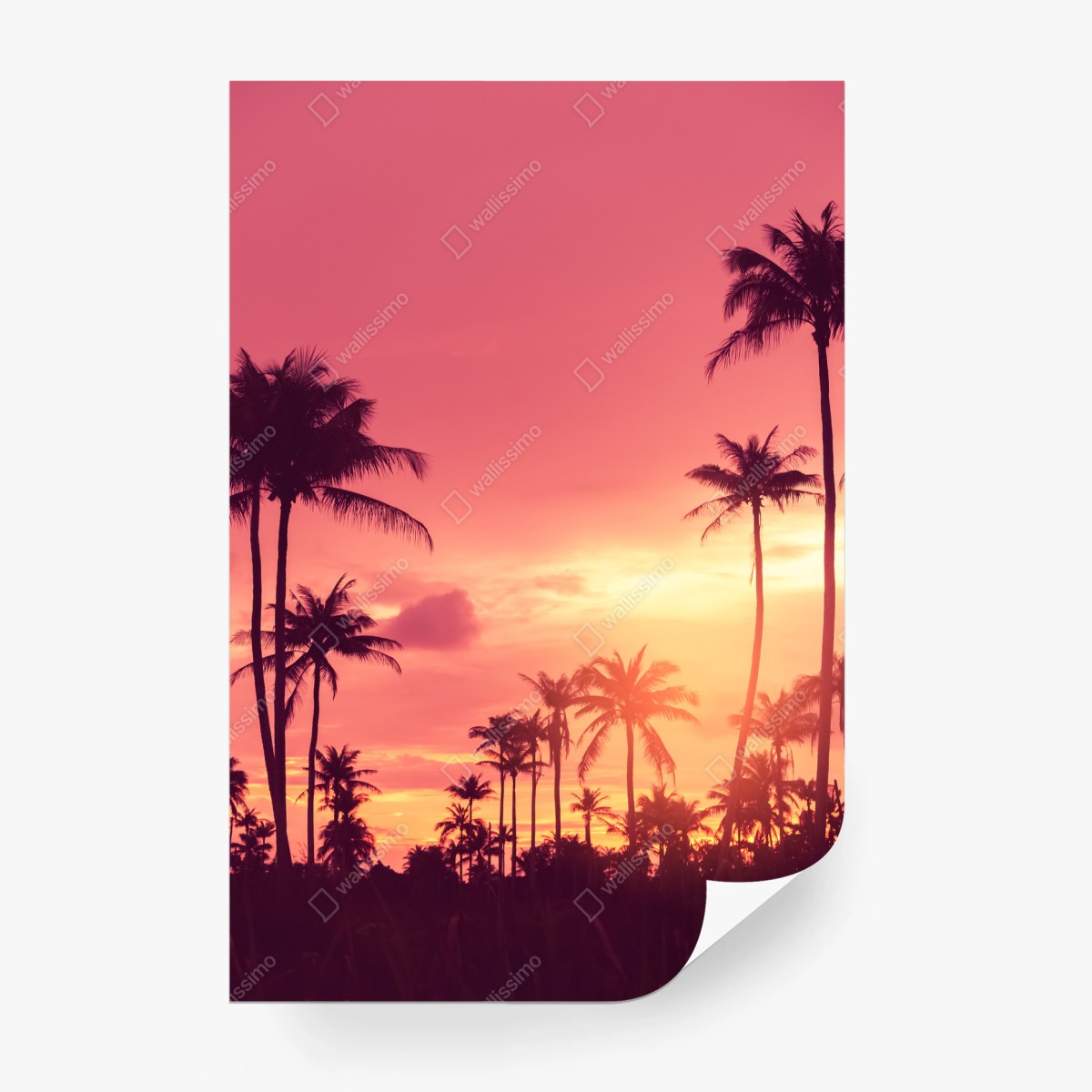 Fototapete rosa tropischer sonnenuntergang mit palmen – Pixers®