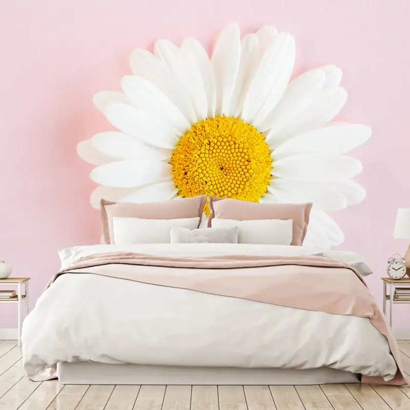 Fototapete weißes gänseblümchen auf pastellrosa hintergrund
