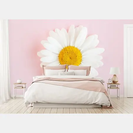 Fototapete weißes gänseblümchen auf pastellrosa hintergrund – Pixers®