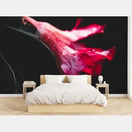 Fototapete rosa trompetenblume mit tau – Pixers®