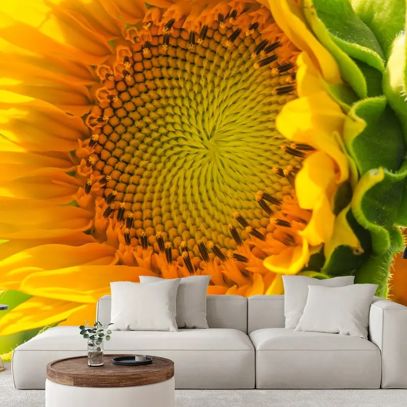 Fototapete sonnenblume nahaufnahme