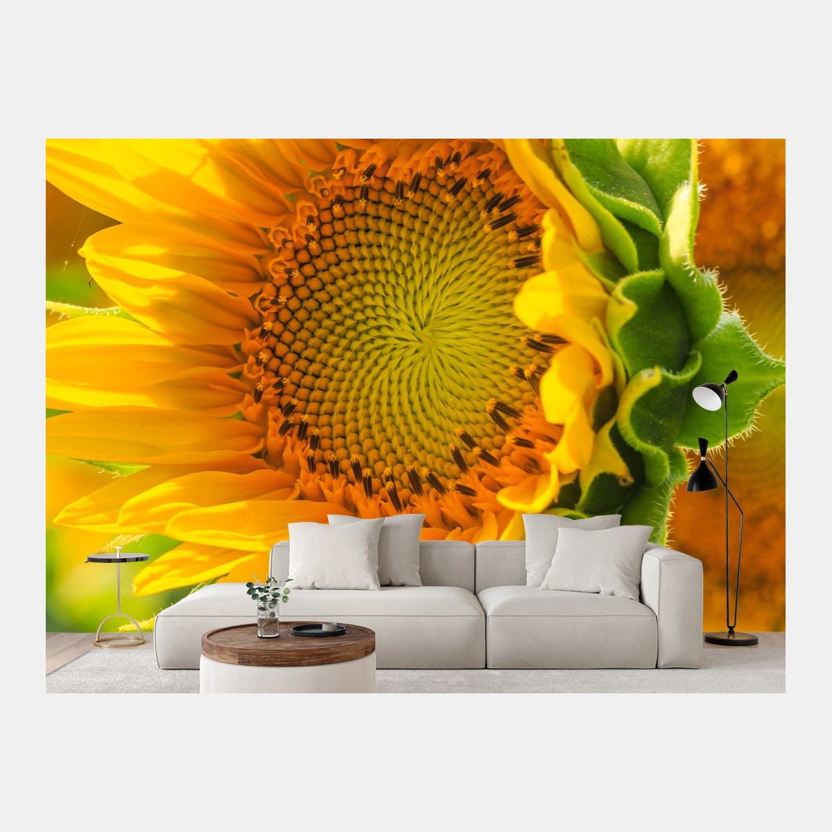 Fototapete sonnenblume nahaufnahme – Pixers®