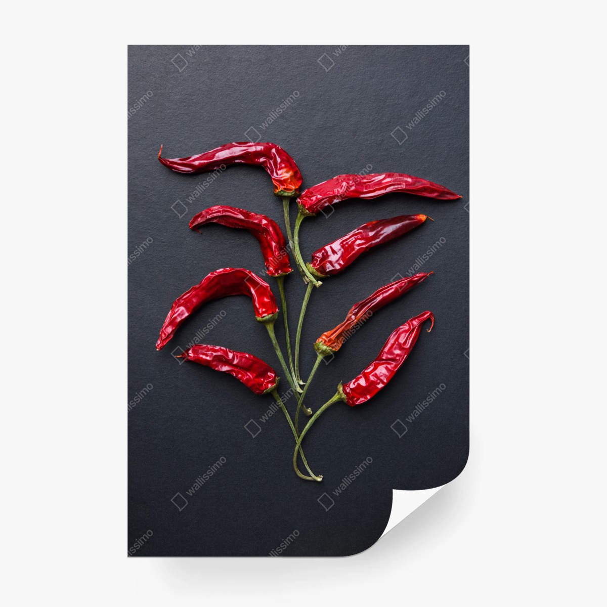 Fototapete kulinarische grafik mit roten chilischoten – Pixers®