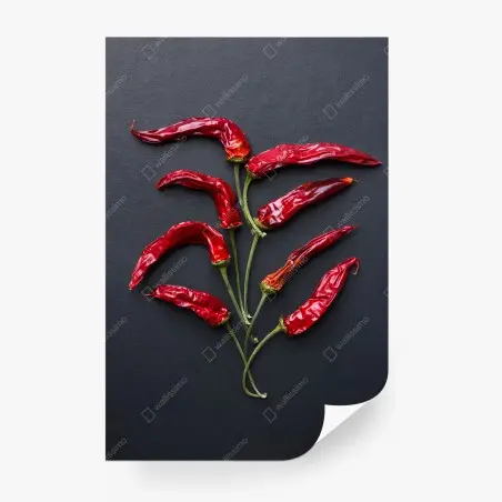 Fototapete kulinarische grafik mit roten chilischoten – Pixers®