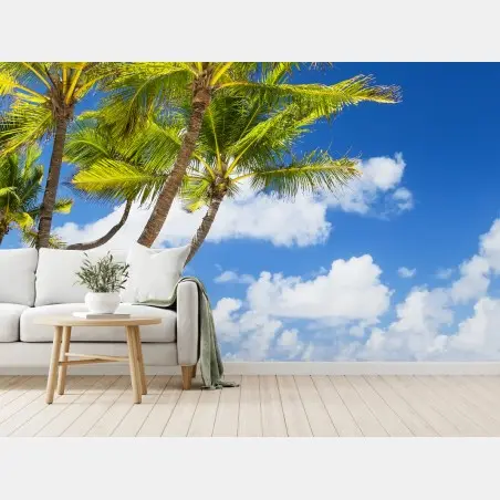 Fototapete tropischer palmstrand in Punta Cana – Pixers®
