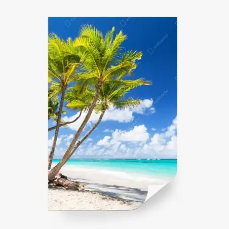 Fototapete tropischer palmstrand in Punta Cana – Pixers®