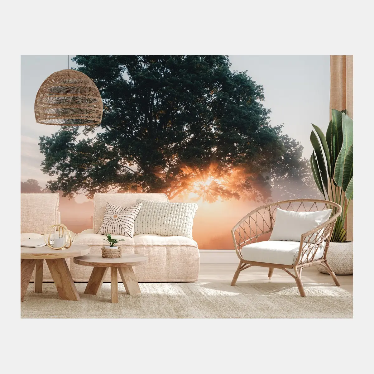 Fototapete nebeliger sonnenaufgang am eichenbaum – Pixers®