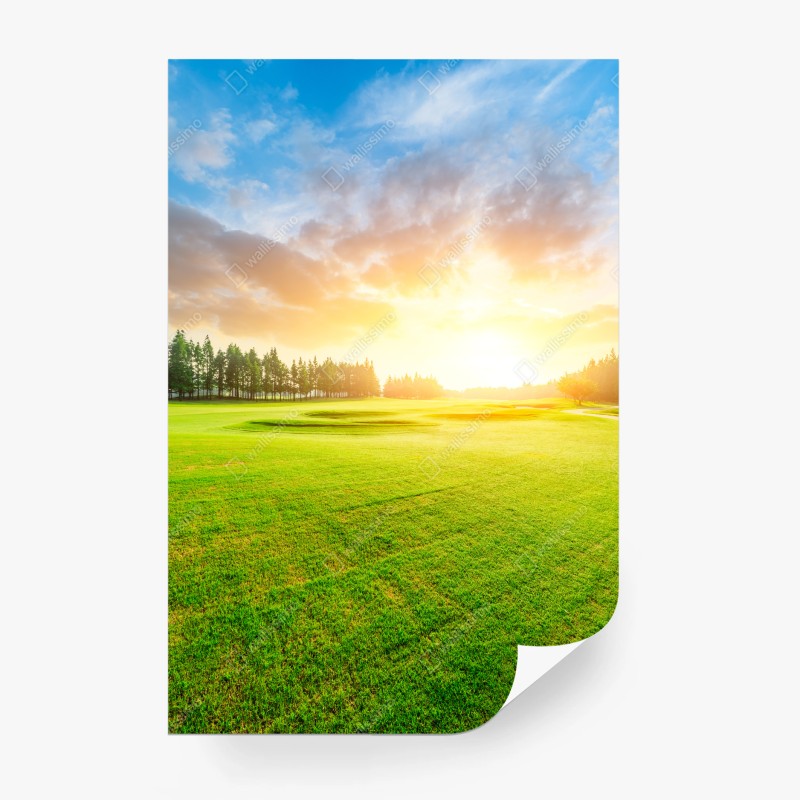 Fototapete sonnenbeschienene wiese und wald bei sonnenaufgang
