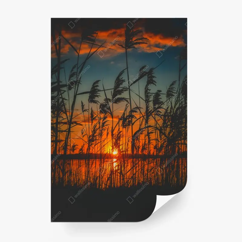 Fototapete sonnenuntergang am see mit schilf-silhouette